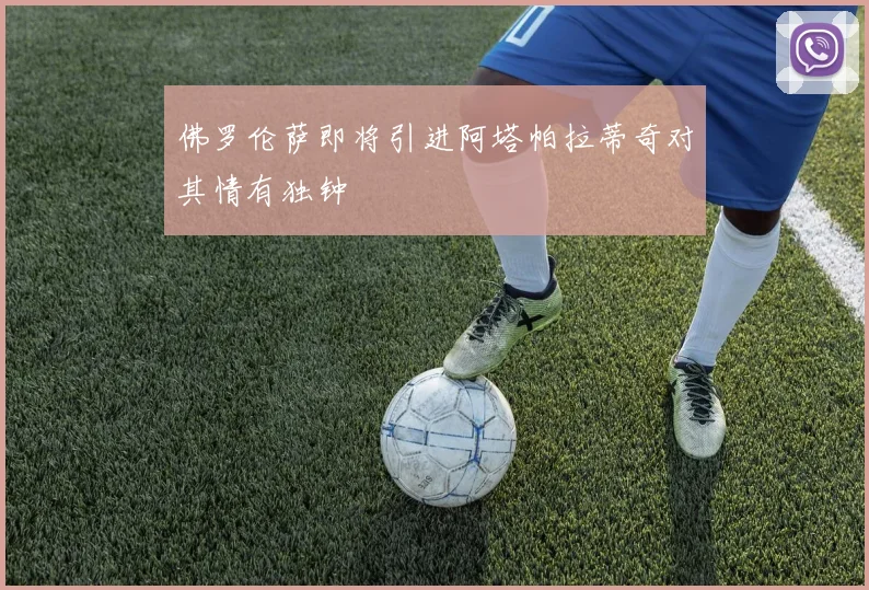 佛罗伦萨即将引进阿塔帕拉蒂奇对其情有独钟