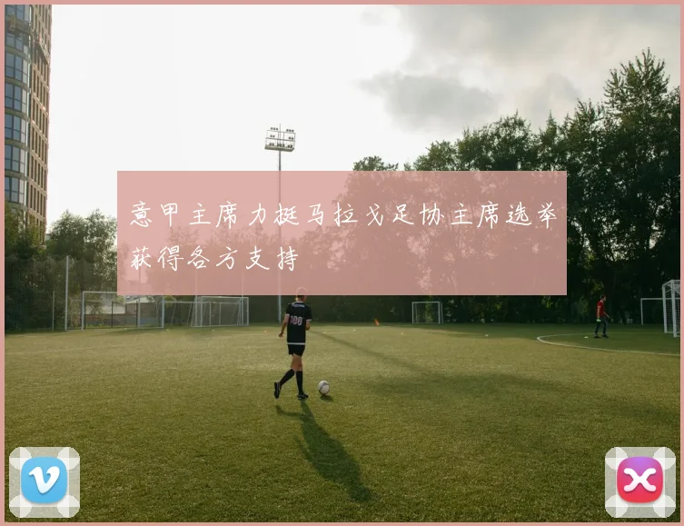 意甲主席力挺马拉戈足协主席选举获得各方支持