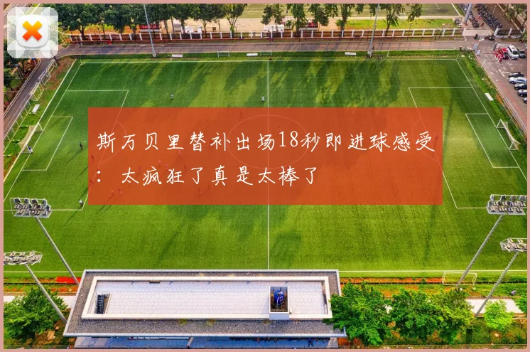 斯万贝里替补出场18秒即进球感受：太疯狂了真是太棒了